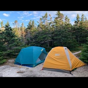 Meet your Posher, Bridget